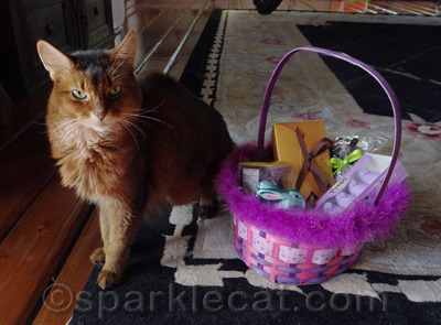 You, of course, knew it was Palm Sunday, right?
