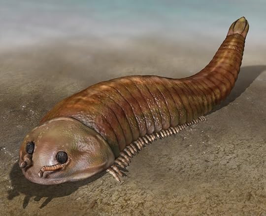 Fuxianhuia is a close relative of living arthropods such as insects. Copyright Quade Paul
