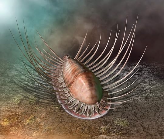 Orthozanclus, a relative of mollusks. Copyright Quade Paul