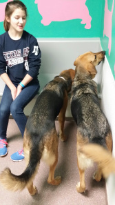 Happy Tails
