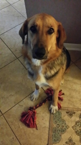 Bella
