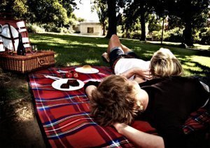 Picnic