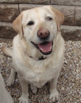  photo b85374b4-b1c6-442c-b9e6-cc581e2f80e3_zpsa317a427.jpg