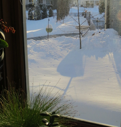 SnowDoneYet