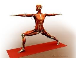 Why would a peaceful practice such as yoga need warrior poses? What do <br />flower power peace dudes have to do with battle?