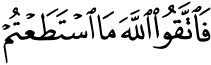 64_16