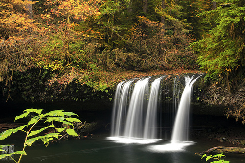 Upper Butte Creek Falls