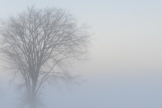DSC_4101
