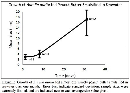 PBJ-detail