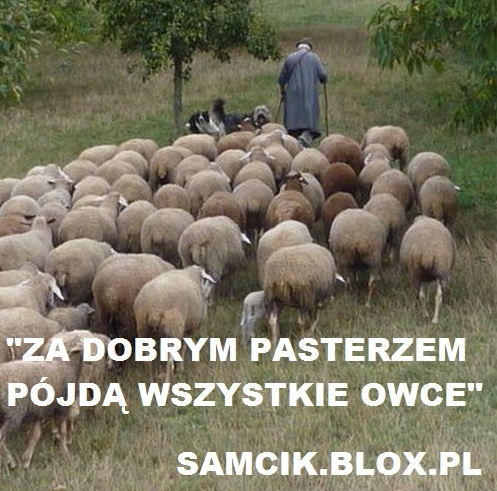 samcik.blox