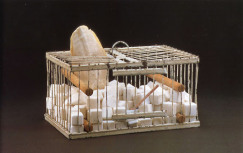 Art and Artists, Why Not Sneeze Rose Selavy, 1964, Marcel Duchamp