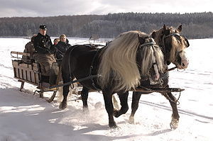 horse pulled sled