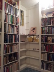 20140108_172005 (263x350)