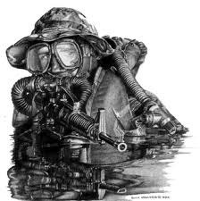 seal