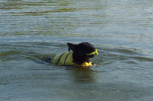 UschiLakeFetch2