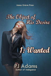 The Object of His Desire 1: Wanted by PJ Adams (erotic romance suspense)