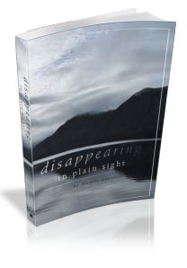 disappearing-in-plain-sight-3-d-bookcover