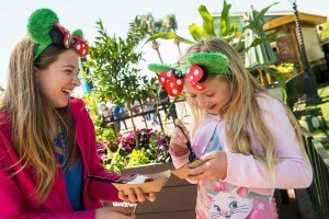 Epcot Flower and Garden Festival Outdoor Kitchen