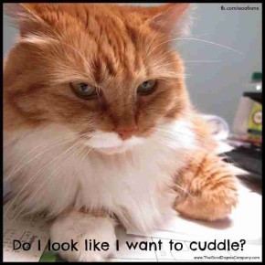 cuddleIMG_0548