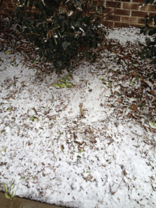 Snow on Ground