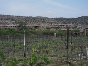 Wine Country Arizona