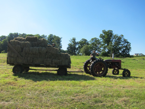Dinner. And breakfast and lunch.
