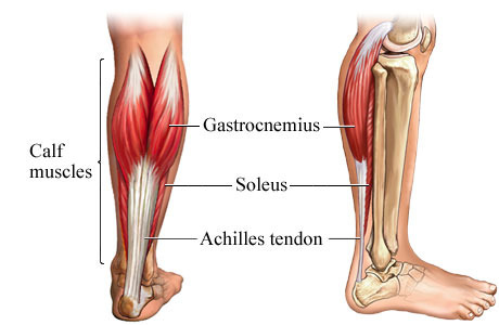 calf-muscles
