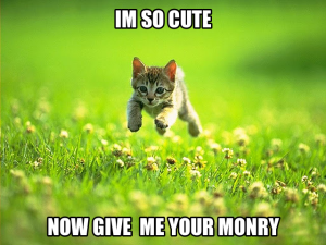 catmoney04