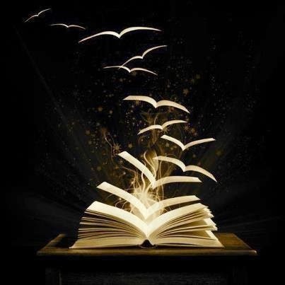 livro, livros, book, books, 