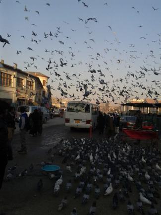 مركز تحميل الصور