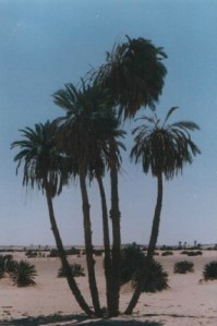 10f990442d54976e731471eee4bf3eba_lm