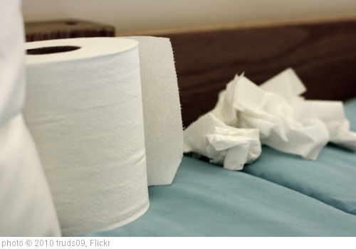'Day 46 :Sniffles' photo (c) 2010, truds09 - license: http://creativecommons.org/licenses/by-sa/2.0/