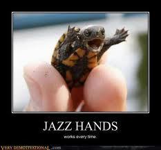 OMG JAZZ HANDS TURTLE THIS WINS THE INTERNET TODAY!