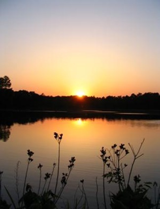 clip_image001
