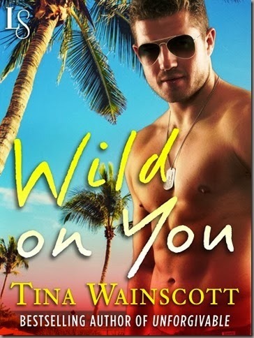 Wild on You - Cover SMALLER