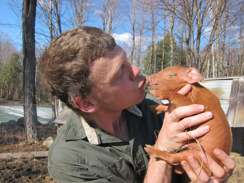 I've always had a way with the piggies