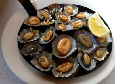 madeira-oysters