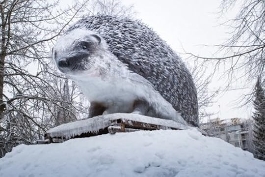 Cool hedgehog!