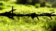 barbed wire