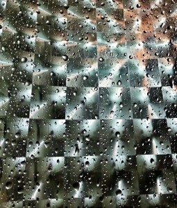 shower curtain