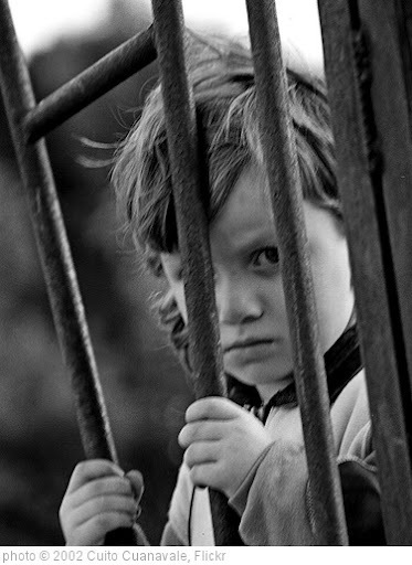 '' photo (c) 2002, Cuito Cuanavale - license: http://creativecommons.org/licenses/by/2.0/