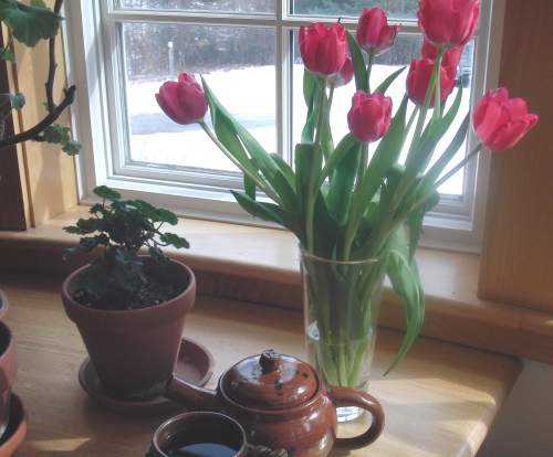 tulips