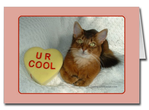 U R Cool Kitty Card