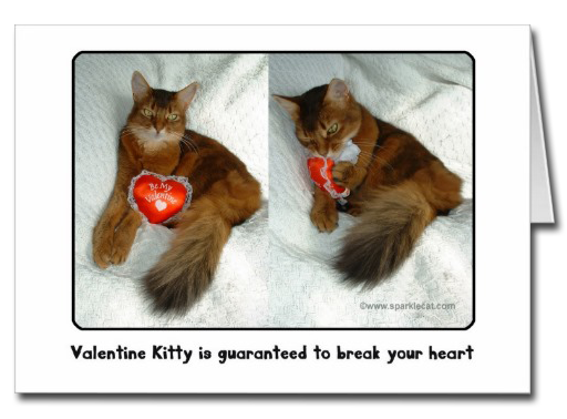 Valentine Kitty Heartbreaker Card