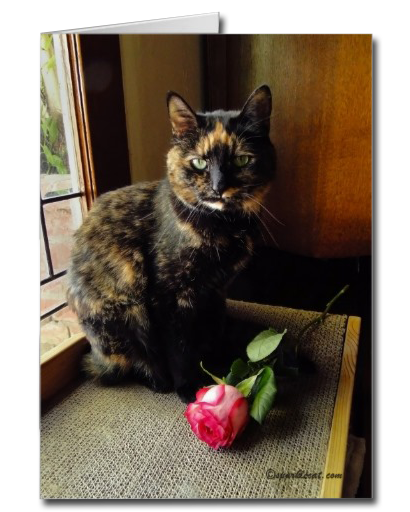 Tortoiseshell Cat and Rose Card