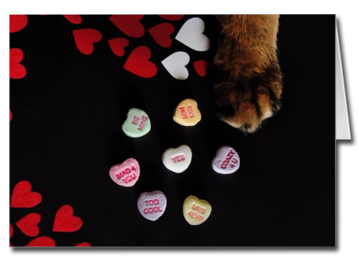 Kitty Candy Hearts Card