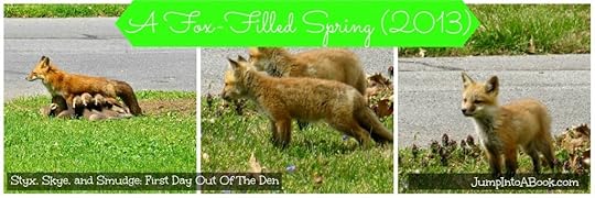 The Fox Diaries