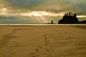 Second Beach-1