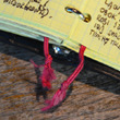 Notes i pióro wieczne