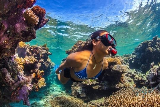 Snorkelling at Great Barrier Reef